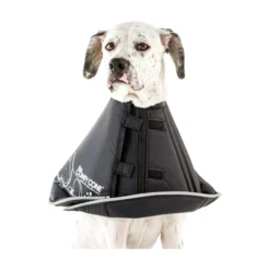 All Four Paws Comfy Cone Mjuk Hundkrage