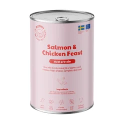 Buddy Pet Foods Buddy Salmon & Chicken Feast
