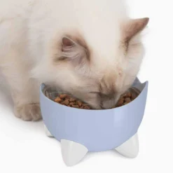 Catit Pixi Combo Kit Fontän + Matskål