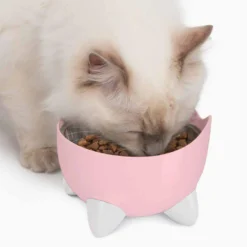 Catit Pixi Combo Kit Fontän + Matskål