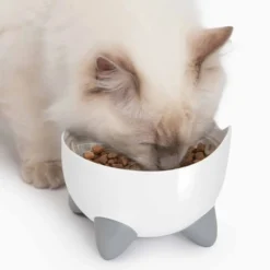 Catit Pixi Combo Kit Fontän + Matskål
