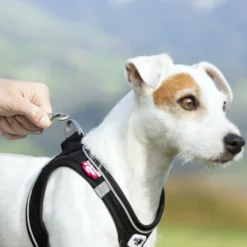 Curli Magnetic Vest Sele