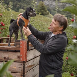 Curli Vegan Äppelläder Step-In Sele