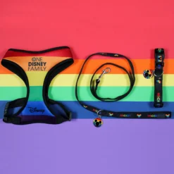 Disney Pride Halsband