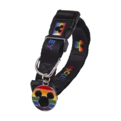 Disney Pride Halsband