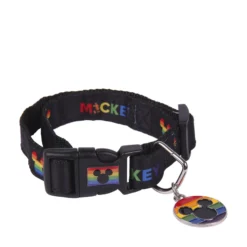 Disney Pride Halsband