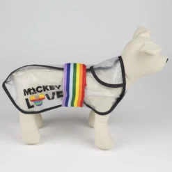 Disney Pride Regntäcke