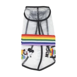 Disney Pride Regntäcke