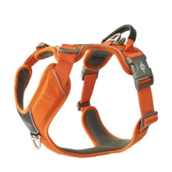 Dog Copenhagen Comfort Walk Pro Harness