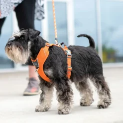 Dog Copenhagen Comfort Walk Pro Harness