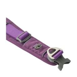 Dog Copenhagen Urban Explorer Collar