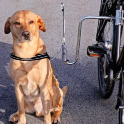 Dogman Cykelfäste för Hund