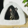 Dogman Igloo Classy