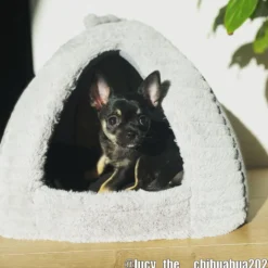 Dogman Igloo Classy