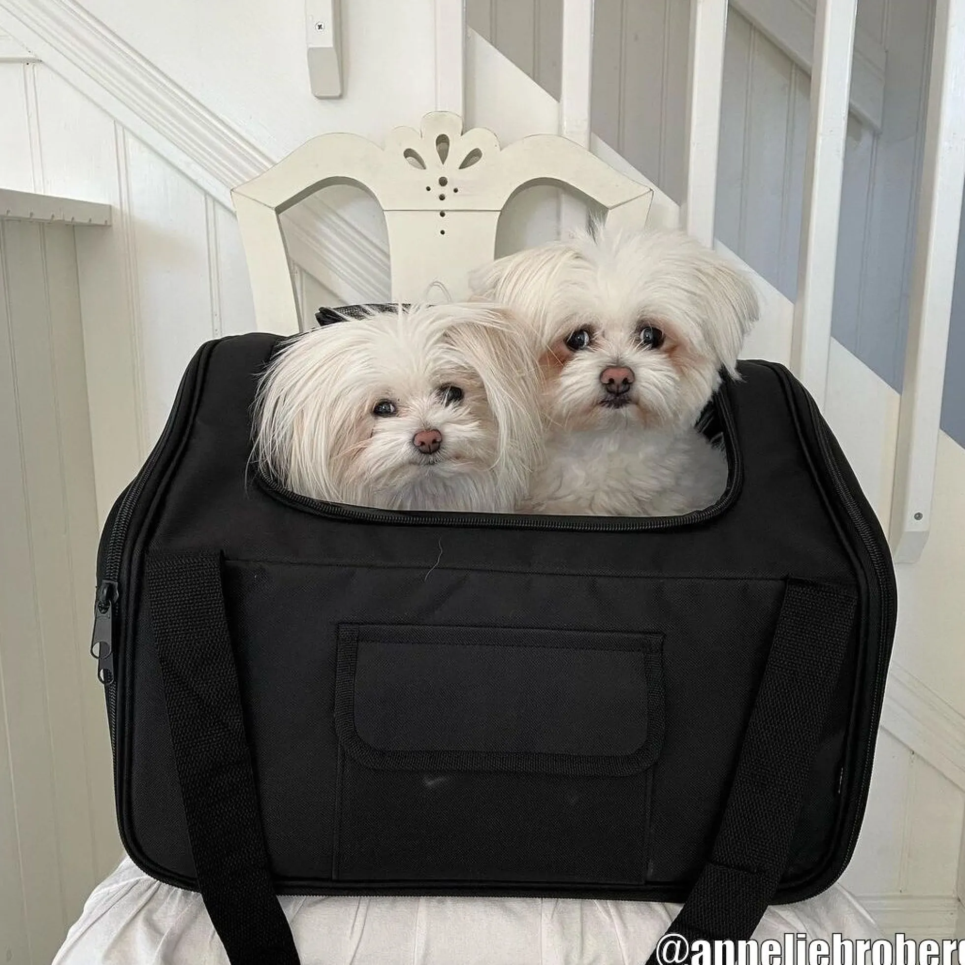 Dogman Lewis Bilsätesväska