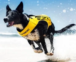 EzyDog Flytväst X2 Boost Gul