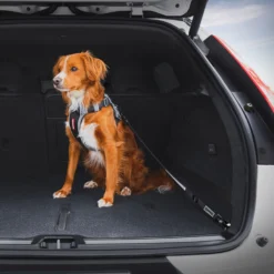 Ezydog ISOFIX Bältesadapter Zero Shock