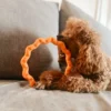 Fiboo Fringoo Ring