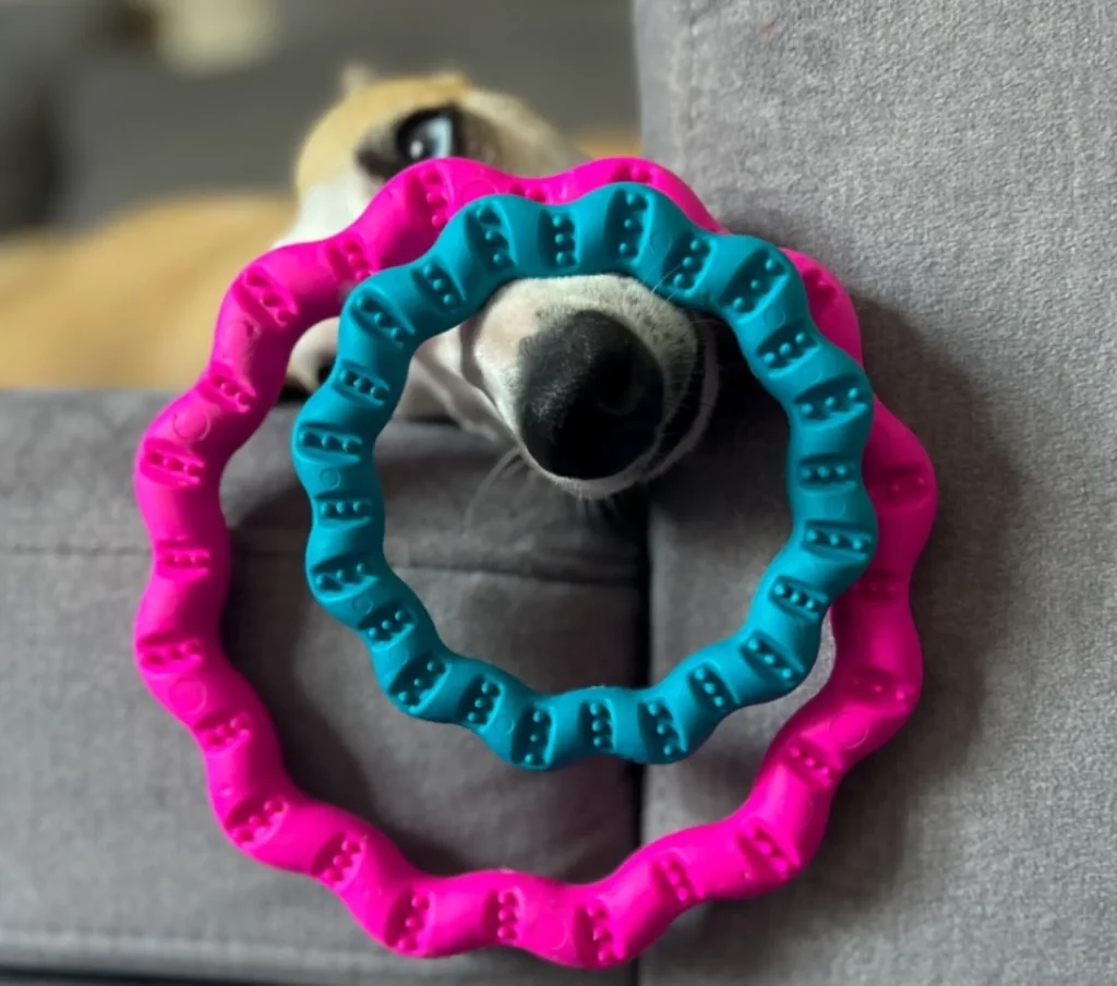 Fiboo Fringoo Ring Mini