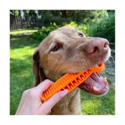 Fiboone Dental