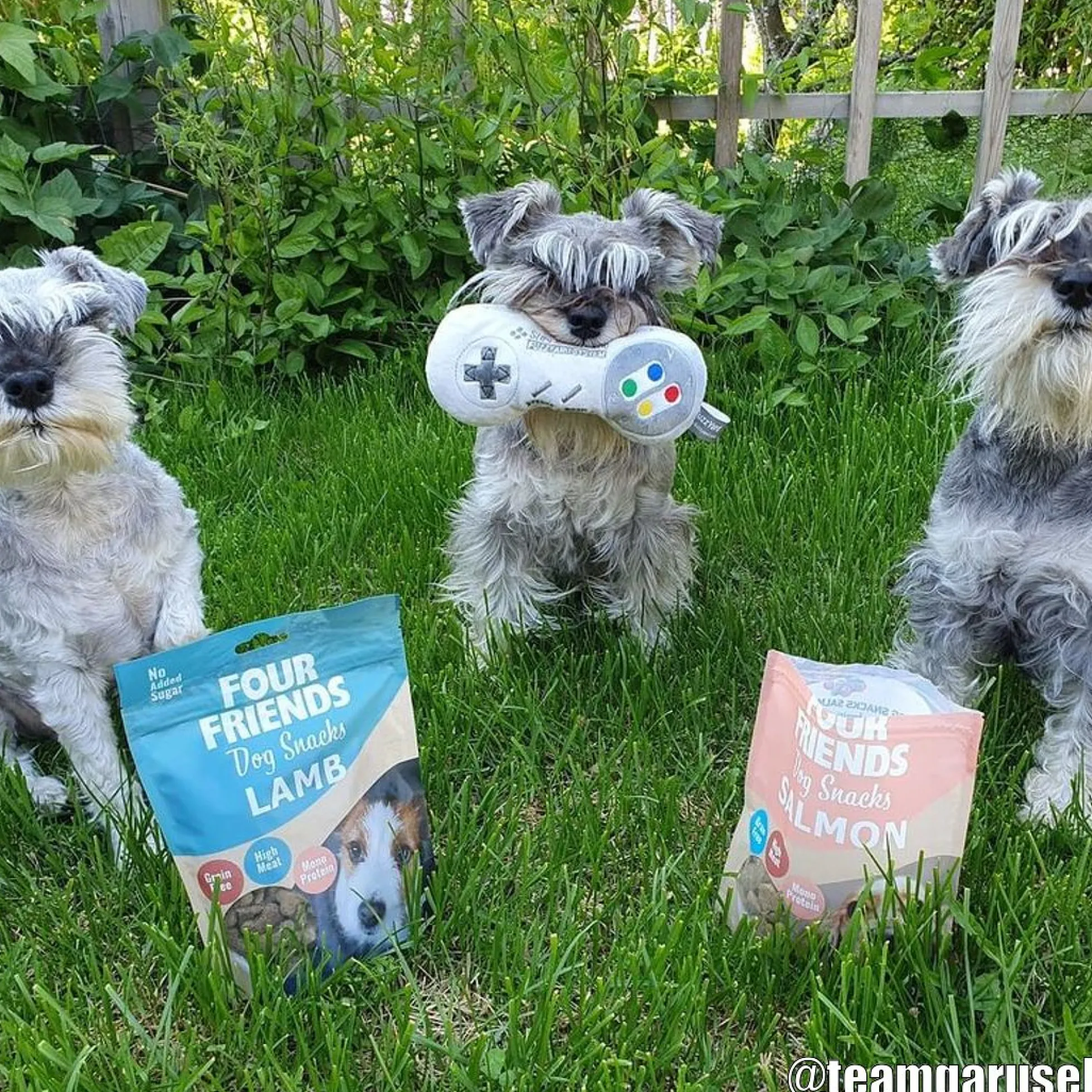 Four Friends FourFriends Dog Snacks