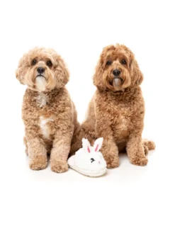 FuzzYard Easter Fluffy Bunny Slipper