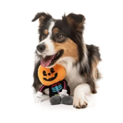 FuzzYard Halloween Boo-Ternut