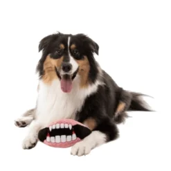 FuzzYard Halloween Dracs Dentures
