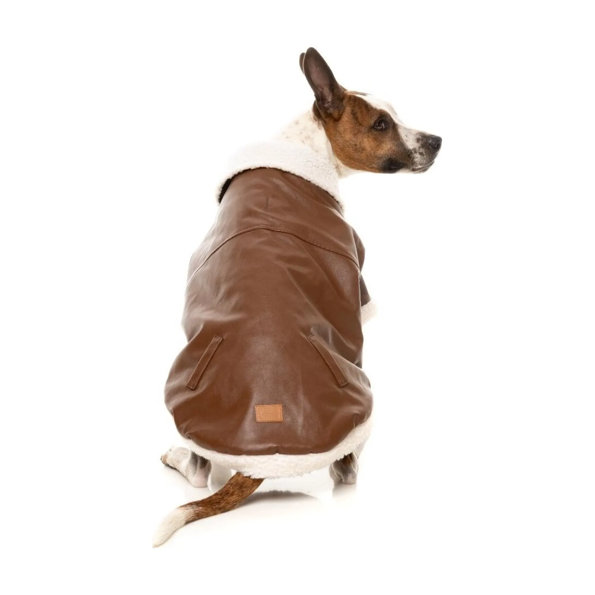 FuzzYard Pet Products FuzzYard Ava Jacket