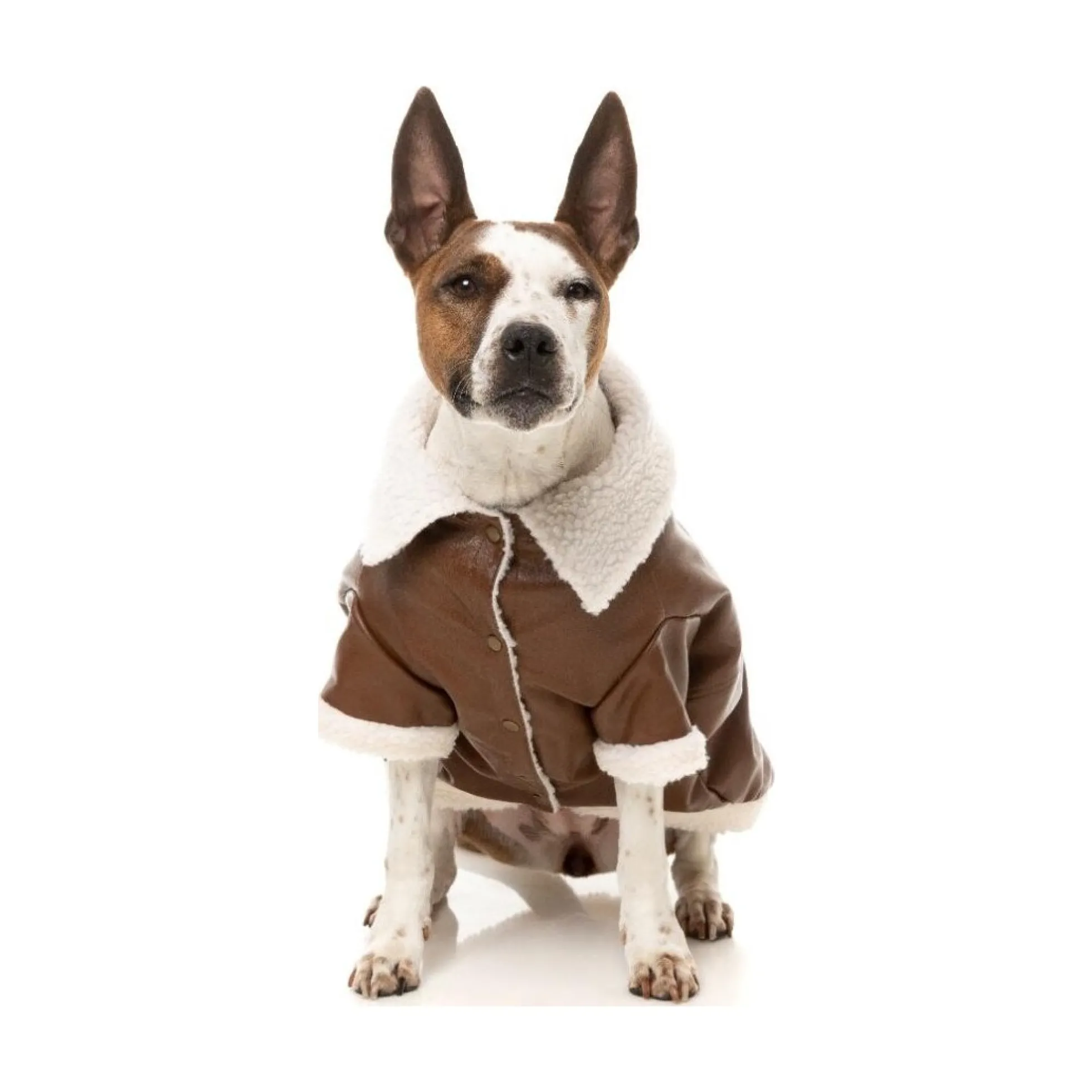 FuzzYard Pet Products FuzzYard Ava Jacket