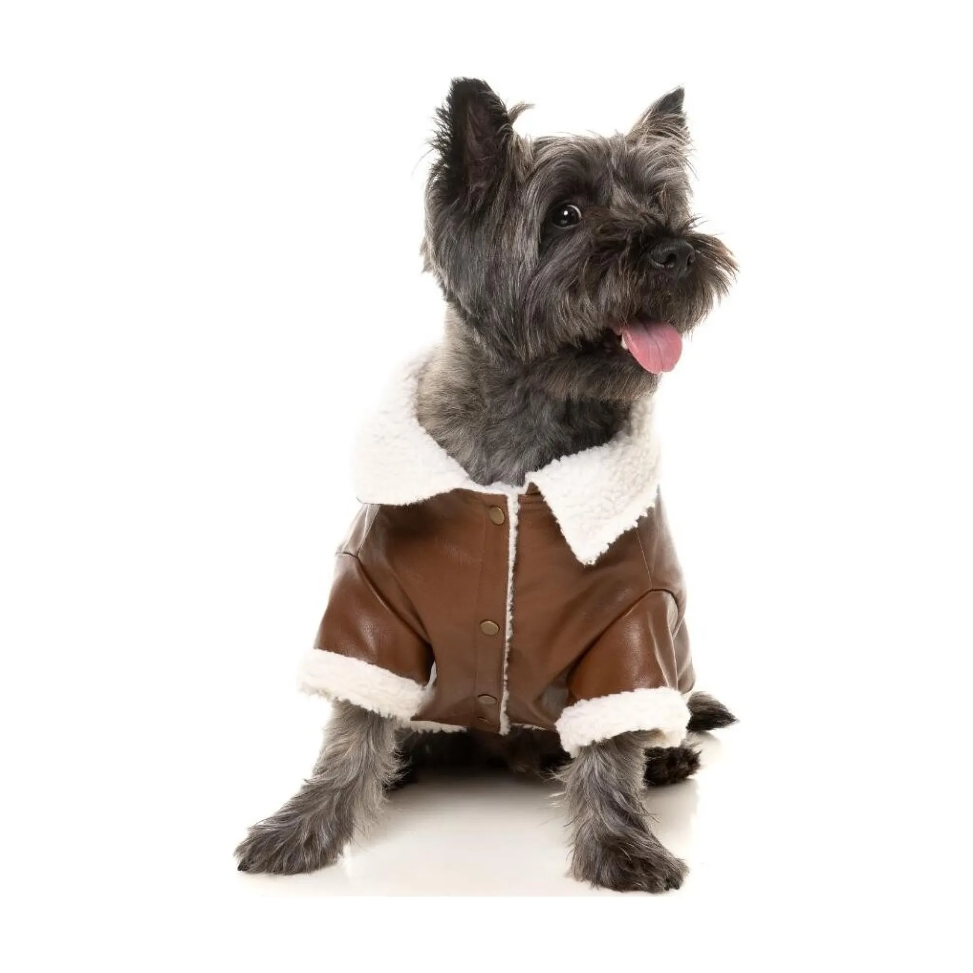 FuzzYard Pet Products FuzzYard Ava Jacket