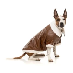 FuzzYard Pet Products FuzzYard Ava Jacket