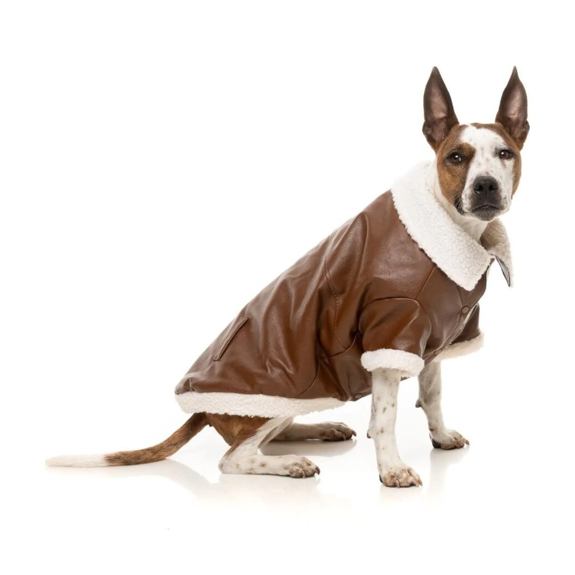 FuzzYard Pet Products FuzzYard Ava Jacket