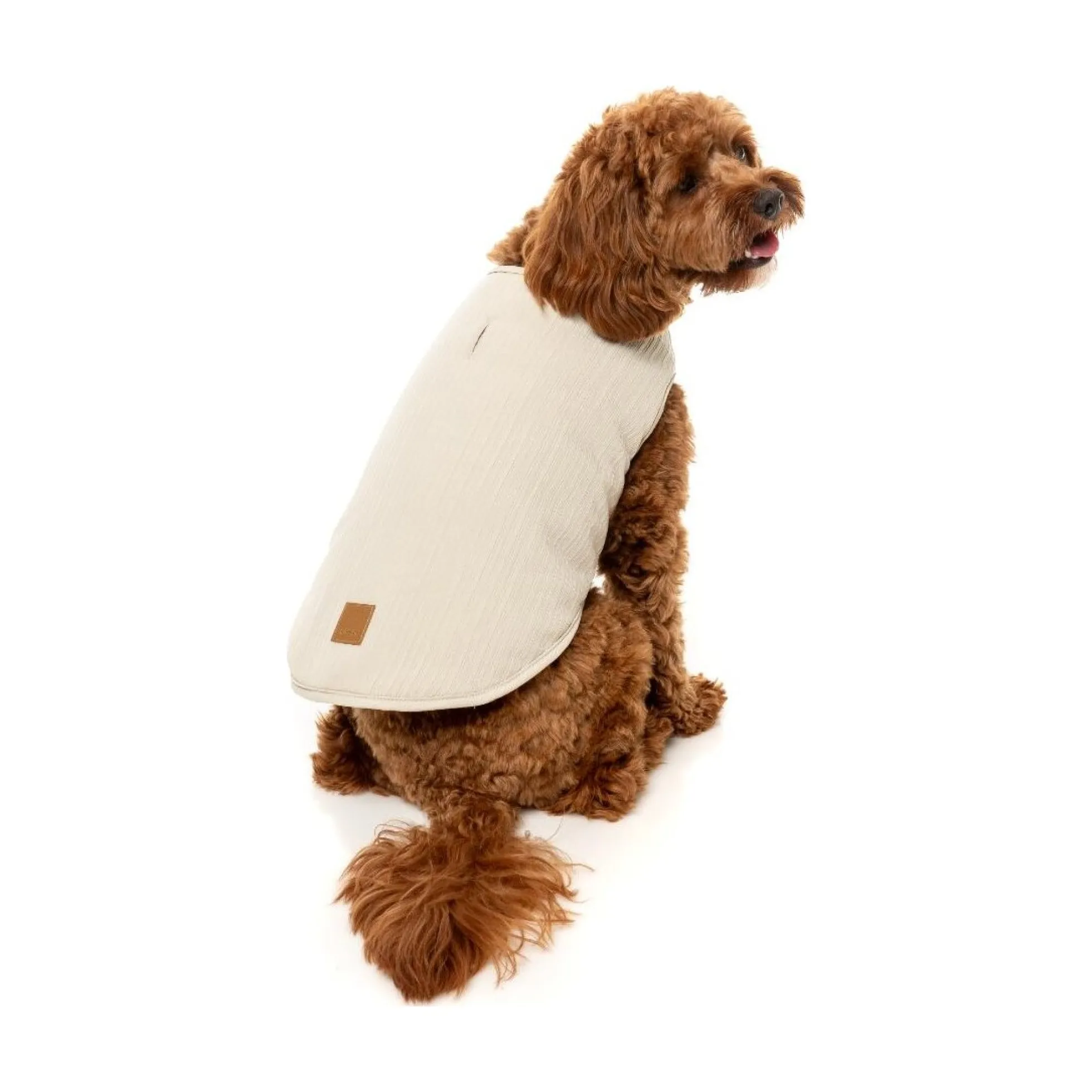 FuzzYard Pet Products FuzzYard Umeda Jacket Bone