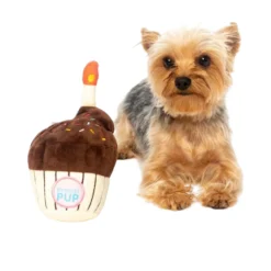 FuzzYard Pet Products FuzzYard Birthday Cupcake