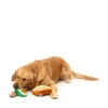 FuzzYard Pet Products FuzzYard Perfect Match Avocado & Toast