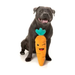 FuzzYard Pet Products FuzzYard Fruits XL