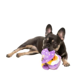 FuzzYard Pet Products FuzzYard Ducks Sirius Quack