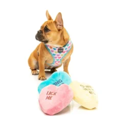 FuzzYard Pet Products FuzzYard Candy Hearts 3-pack