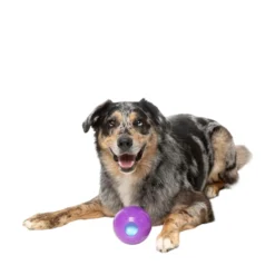 FuzzYard Pet Products FuzzYard Tuggleksak Truth Tellin' Treat Ball