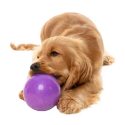 FuzzYard Pet Products FuzzYard Tuggleksak Truth Tellin' Treat Ball