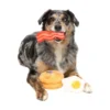 FuzzYard Pet Products FuzzYard Perfect Match Dog's Breakfast