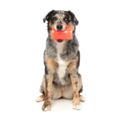 FuzzYard Pet Products FuzzYard Tuggleksak Pina Coolada Freeze
