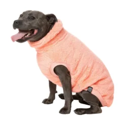 FuzzYard Pet Products FuzzYard Sweater Turtle Teddy