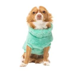 FuzzYard Pet Products FuzzYard Sweater Turtle Teddy