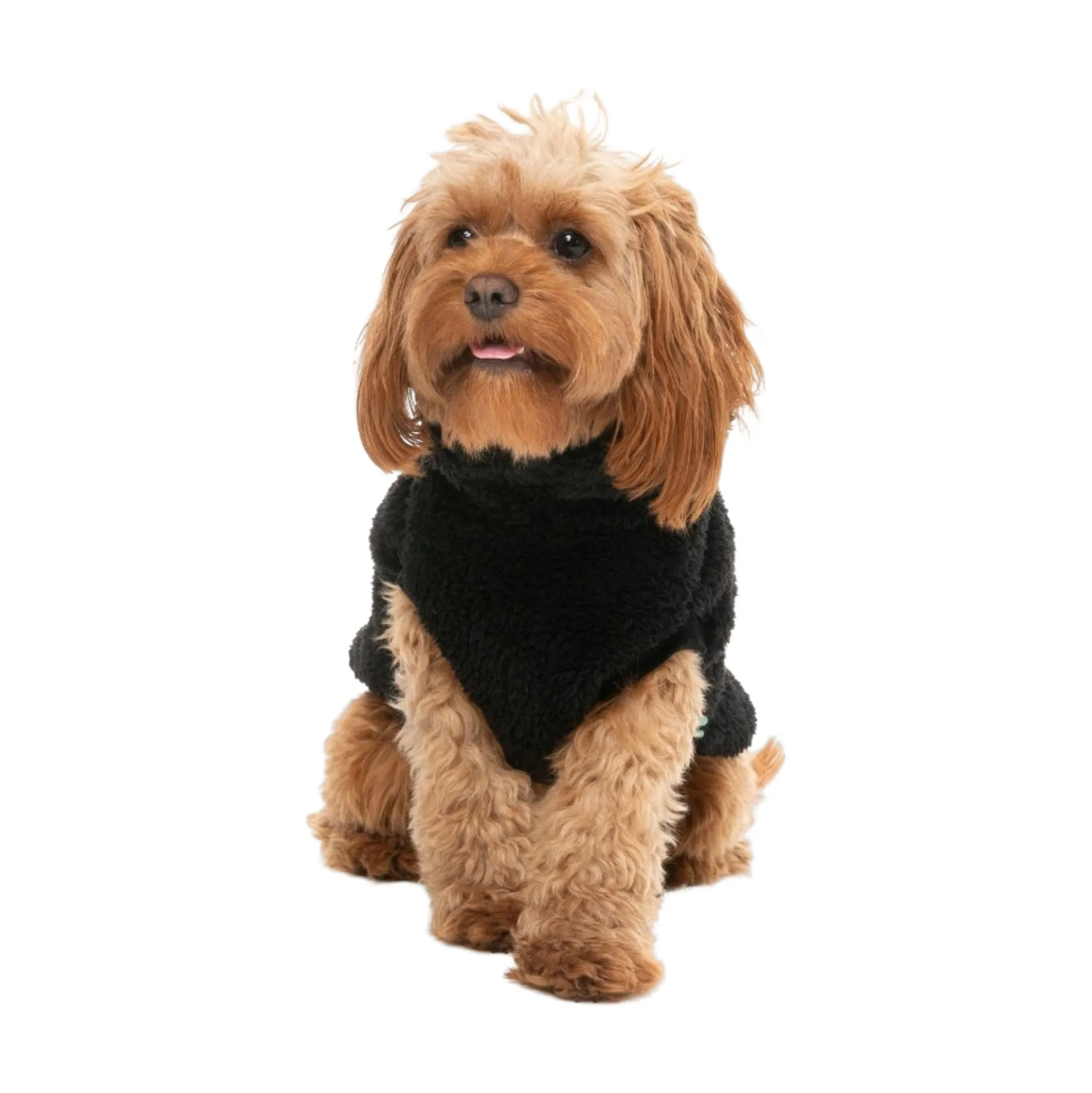 FuzzYard Pet Products FuzzYard Sweater Turtle Teddy