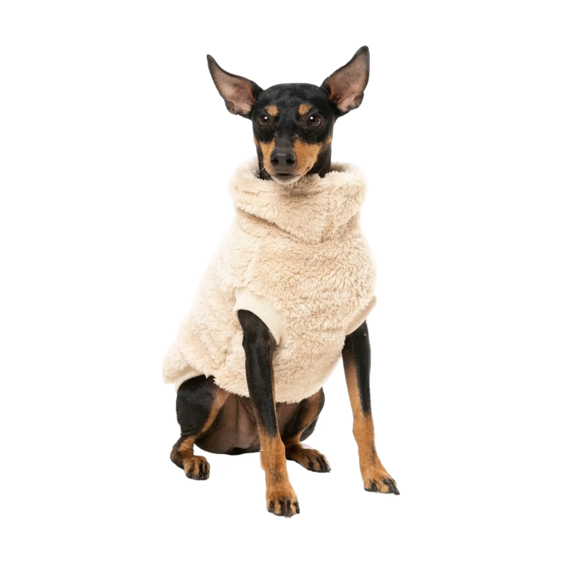 FuzzYard Pet Products FuzzYard Sweater Turtle Teddy