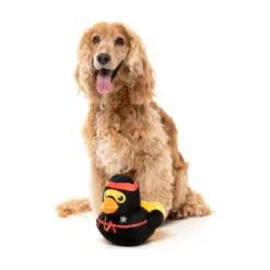 FuzzYard Pet Products FuzzYard Ducks Quackie Chan