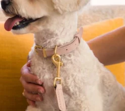 FuzzYard Pet Products FuzzYard Life Atelier Koppel Soft Blush