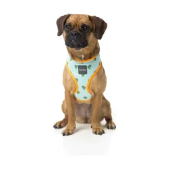 FuzzYard Pet Products FuzzYard Tucson Harness